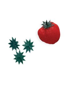 Aardbeisteeltjes Plastic
