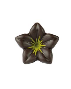 Chocolade Bloem Puur (3D)