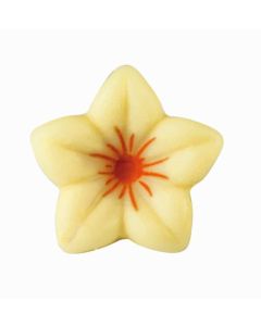 Chocolade Bloem Oranje Kern (3D)