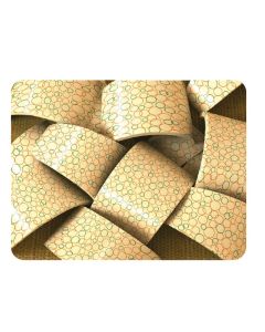 Transfervellen Burbujas