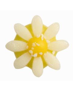 Chocolade Daisy (klein)