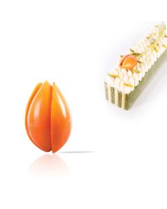 Chocolade Tulp (oranje)