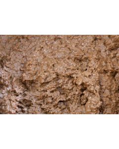 Irca Pralin Delicrisp Classic