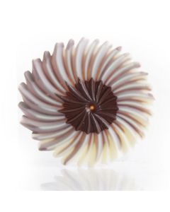 Chocolade Rosette (puur en wit)