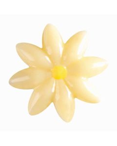Chocolade Daisy (20 mm)