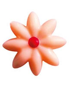Chocolade Daisy Roze (25 mm)