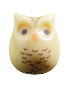 Chocolade Chouettes (uil)