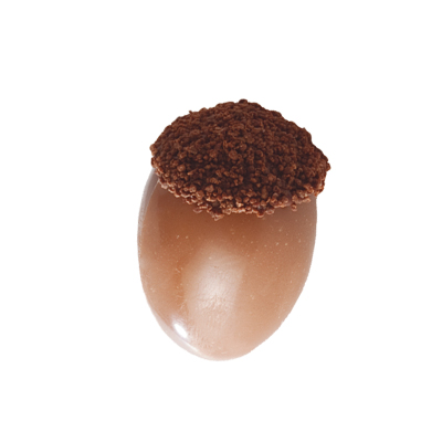 Chocolade Eikel (3D)