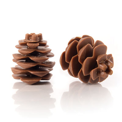 Chocolade Dennenappel (3D)