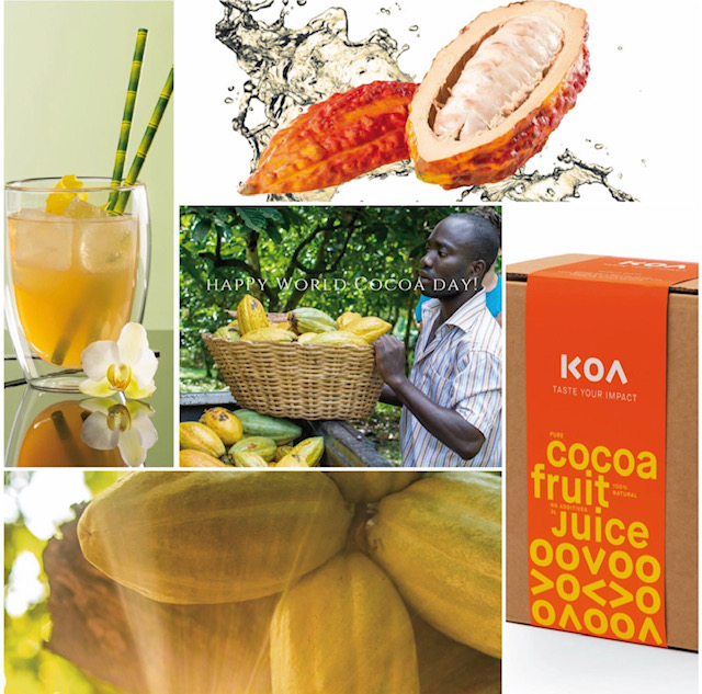 Koa Cacao Fruit Juice